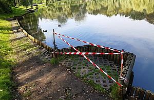 Groźna bakteria w stawach parku Moczydło. Zakaz wpuszczania psów do wody