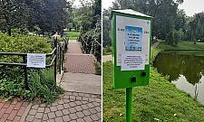 Gro¼na bakteria w stawach parku Moczyd³o. Zakaz wpuszczania psów do wody