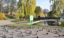 Gro¼na bakteria w stawach parku Moczyd³o. Zakaz wpuszczania psów do wody