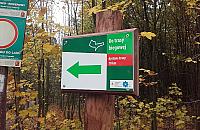 Las Bemowski będzie miał oznakowane ścieżki biegowe. "Nie róbmy z tego lasu parku!"