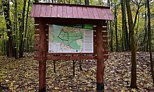 Las Bemowski będzie miał oznakowane ścieżki biegowe. "Nie róbmy z tego lasu parku!"