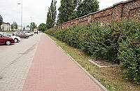 Rowerzyści czekają na nową ścieżkę przy Odrowąża. ZDM: "Nie mamy pieniędzy"