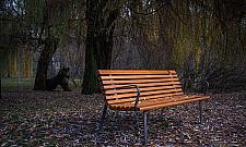 Wielka wymiana ławek w wolskich parkach. "Byle nie pod moim oknem"