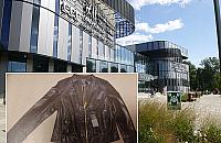 Szła na rekord. Chciała wynieść siedem skórzanych kurtek z Galerii Młociny