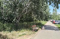 Najpierw sroka, potem drożyzna. Budowa parku na Tarchominie nie ma szczęścia