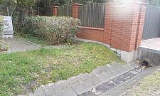 Niedostępne miejsce pamięci. ZDM nic nie zrobił od siedmiu lat