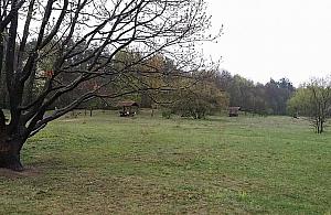 Ścianka wspinaczkowa na polanie Hutnika oprotestowana. "Zostawmy ten teren przyrodzie"