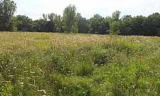 Ścianka wspinaczkowa na polanie Hutnika oprotestowana. "Zostawmy ten teren przyrodzie"