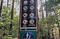 Biegacze kontra psiarze w lesie przy Lucerny. Codziennie dochodzi do kłótni