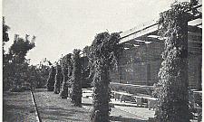 Mieszkańcy chcą przedwojennego dziecińca. "Przywrócić historię Boernerowa"