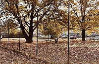 Czy będzie remont zniszczonego boiska na Tarchominie?