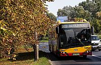 Mieszkańcy chcą więcej kursów 319. ZTM: "Nie widzimy potrzeby"