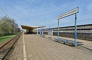 Tragedia na torach. Kobieta wpadła pod pociąg