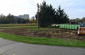 W parku Bródnowskim przybędzie kwiatów. Królować ma róża