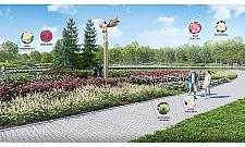 W parku Bródnowskim przybędzie kwiatów. Królować ma róża