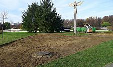 W parku Bródnowskim przybędzie kwiatów. Królować ma róża