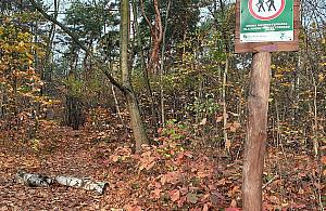 Las na Kole z zakazami wstępu? "Nie powinien być zadeptywany"