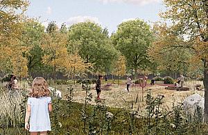 Co dalej z Parkiem Aktywności Rodzinnej? Jest projekt, czas na realizację