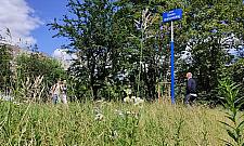 Skwer Gwary Warszawskiej z pozwoleniem na budowę. Prace mogą ruszyć wiosną