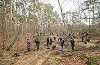 Las Bemowski: zasadzili dwa tysiące drzew