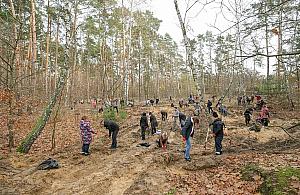 Las Bemowski: zasadzili dwa tysiące drzew