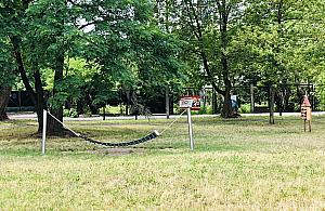 Sad owocowy na Woli. Nowa atrakcja przy Sowińskiego