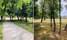 Sad owocowy na Woli. Nowa atrakcja przy Sowińskiego