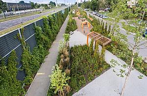 Nowe skwery z budżetu obywatelskiego. "Za" zagłosowało 2373 mieszkańców