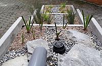 Na Bielanach powstaną "ogrody deszczowe". Jak będą wyglądać?