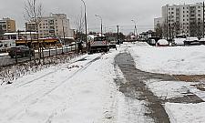 Sadzą drzewa i krzewy w śniegu. Czy rośliny się przyjmą?