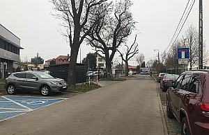 Samochodowa anarchia pod szkołą. Cyklamenów będzie jednokierunkowa?