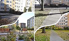 Podwórkowe rewolucje na Woli. Rozbetonowują i sadzą zieleń