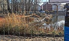 Stawy Brustmana w przebudowie. "Koparki stoją, nic się nie dzieje"