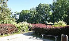 Śmierdzący problem w parku. "Matki nie sprzątają po bąbelkach"