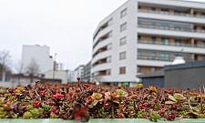 Przeprowadzka pętli z Młynowa. Wreszcie się doczekaliśmy