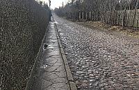 Odpowiedź burmistrza w sprawie ul. Poetów. "Chcemy wykreślić bruk z ewidencji zabytków"