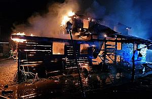 Stadnina prosi o pomoc po pożarze. Zginęło osiem koni