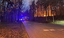 Stadnina prosi o pomoc po pożarze. Zginęło osiem koni