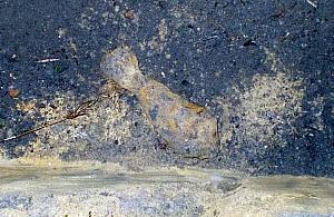 Pocisk na budowie przy Marywilskiej. To pamiątka bitwy Niemców z Rosjanami