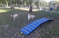 Absurd w parku Wiecha. Urzędnicy proszą psy o uszanowanie ciszy nocnej