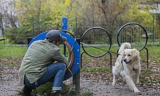 Absurd w parku Wiecha. Urzędnicy proszą psy o uszanowanie ciszy nocnej
