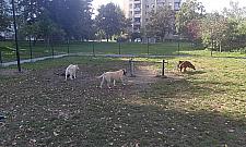 Absurd w parku Wiecha. Urzędnicy proszą psy o uszanowanie ciszy nocnej