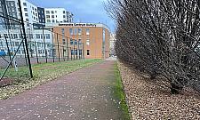 Sportowe pomysły dla podstawówki na Górcach