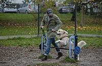 Dwa nowe parki dla psów? To propozycja mieszkańców