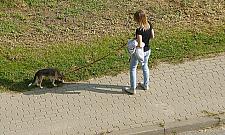 Śmierdzący problem Bielan. "Sprzątajcie po swoich psach"