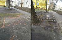 Mieszka�cy Wierzbna chc� zielonych podw�rek