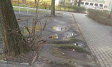 Mieszkańcy Wierzbna chcą zielonych podwórek