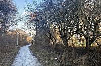 Mieszkańcy boją się tędy chodzić. Chcą ucywilizować skrót na Chomiczówce