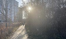 Mieszkańcy boją się tędy chodzić. Chcą ucywilizować skrót na Chomiczówce