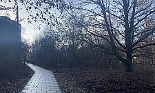 Mieszkańcy boją się tędy chodzić. Chcą ucywilizować skrót na Chomiczówce